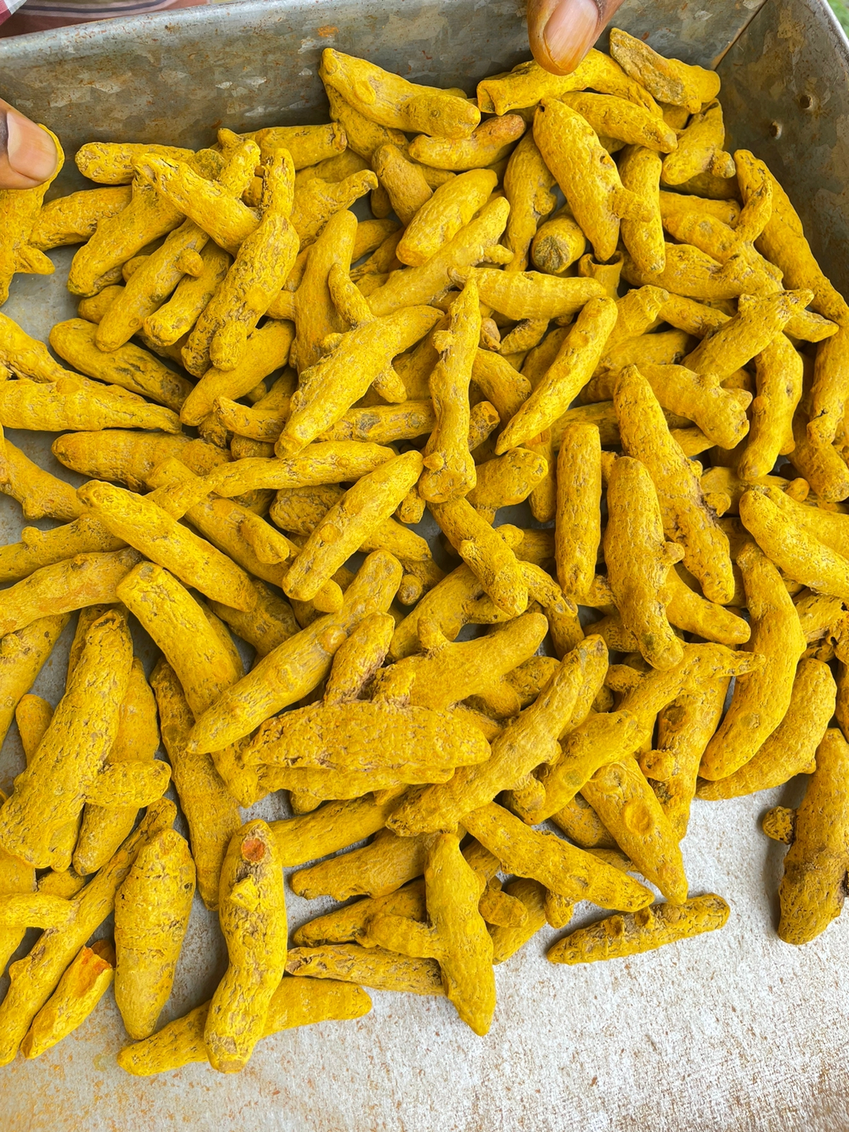 Turmeric